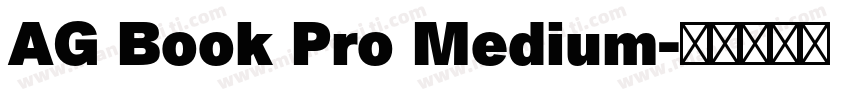 AG Book Pro Medium字体转换
